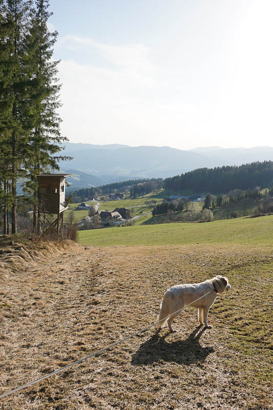 Auf dem Mondweg wandern zur Wildwiese