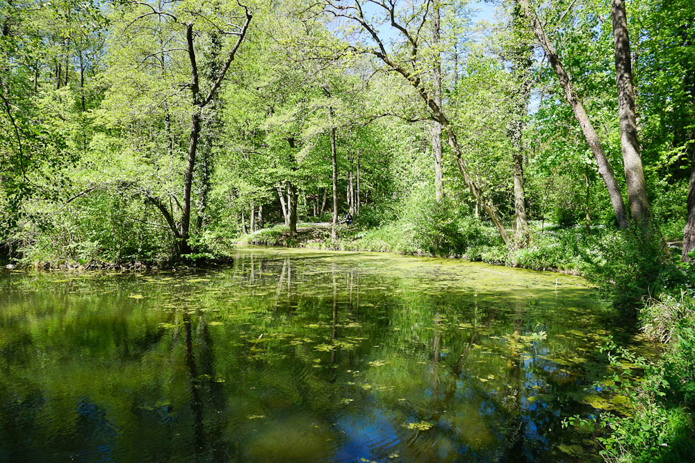 Schwarzenbergpark Teich am Stadtwanderweg 3