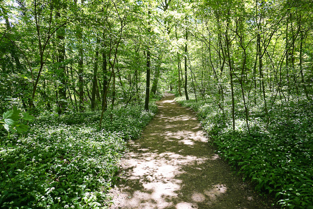 Wien Stadtwanderweg 3: durch den Schwarzenbergpark