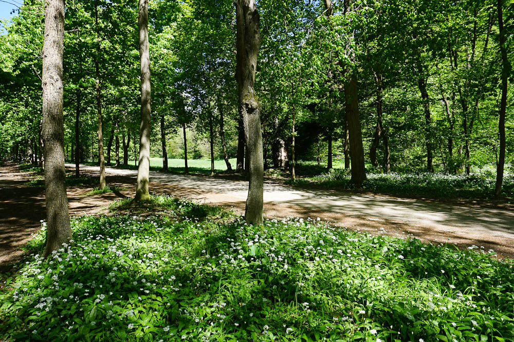 Wien Schwarzenbergpark