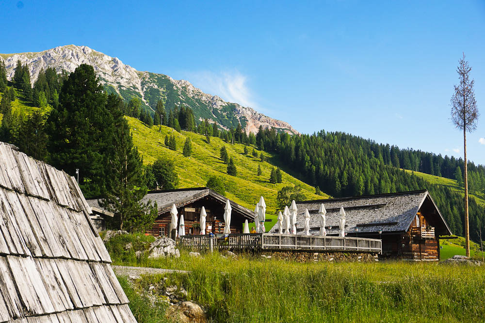 Filzmoos leichte Wanderungen: zu den Hofalmen und dem Almsee