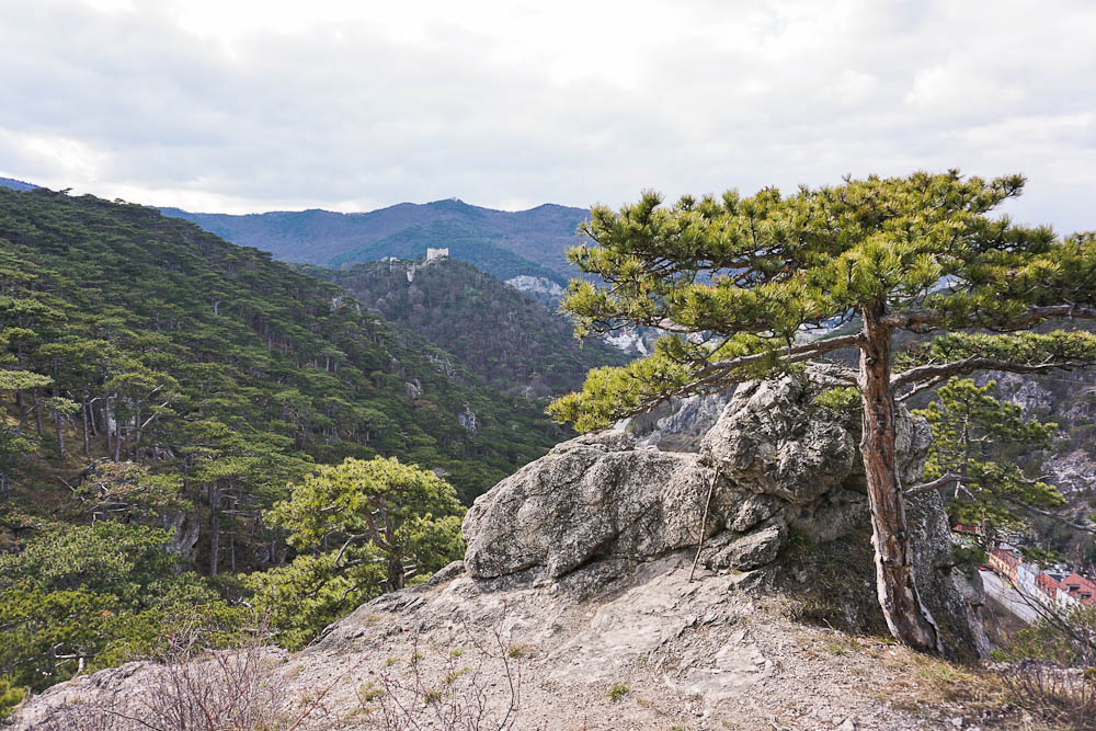 Im Naturpark Föhrenberge wandern - zu jeder Jahreszeit!