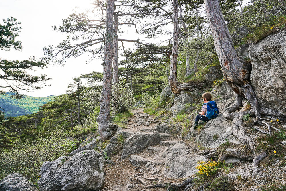 Am Kalenderberg wandern bei Mödling