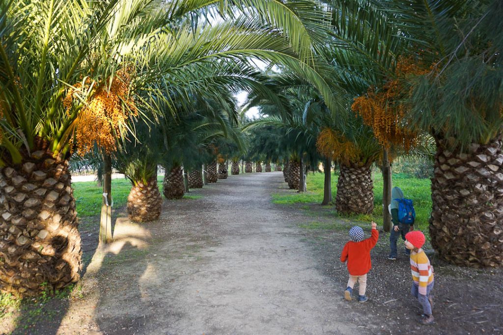 Lissabon mit Kindern