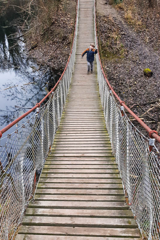 Hängebrücke am Au Erlebnisweg wandern in Klosterneuburg