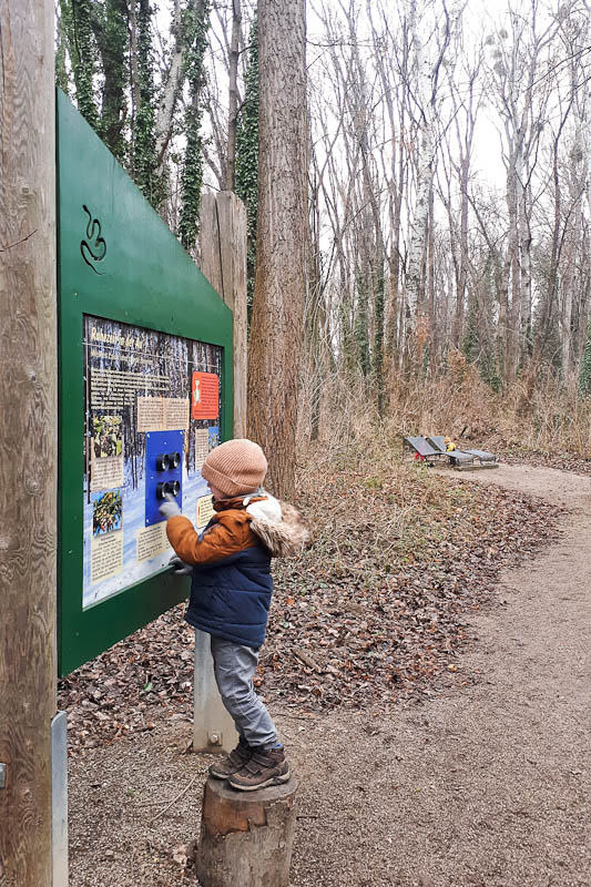 Wandern mit Kind nördlich von Wien Klosterneuburg