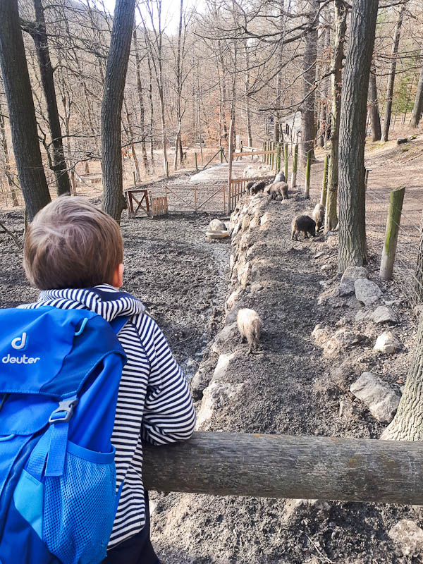 Wandern mit Kindern rund um Wien in Purkersdorf