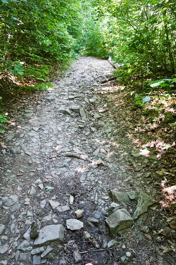 Wiener Stadtwanderweg 8 Sophienalpe