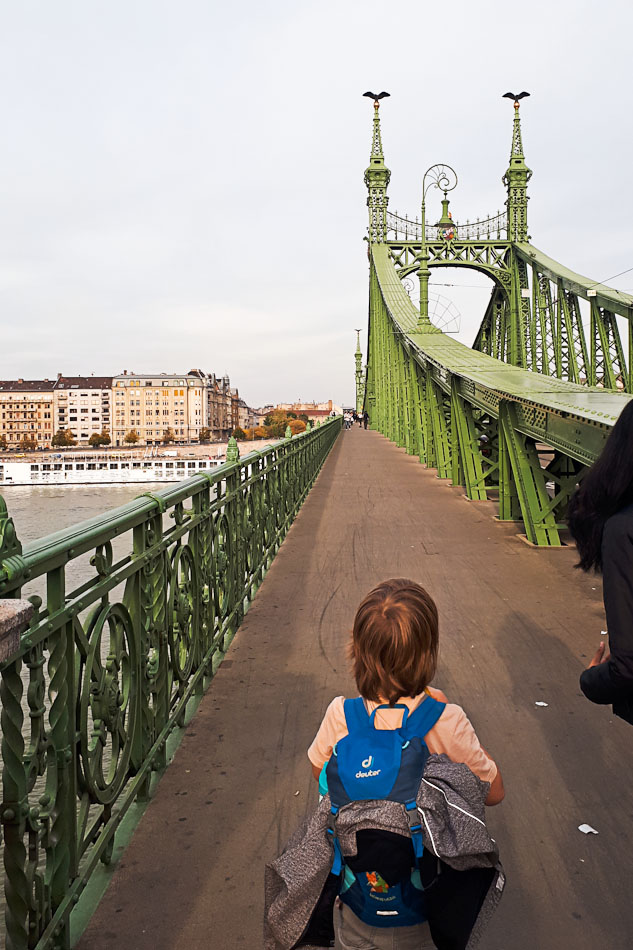 Budapest Freiheitsbrücke
