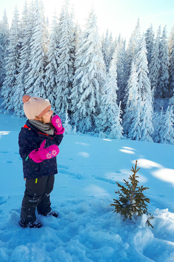 Rax im Winter mit Kindern