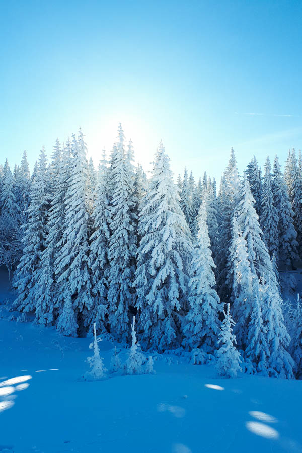Rax Winterlandschaft