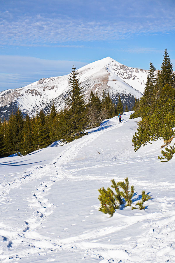 Rax Winterwanderung Winterwege