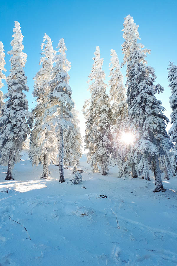 Rax Winter wandern