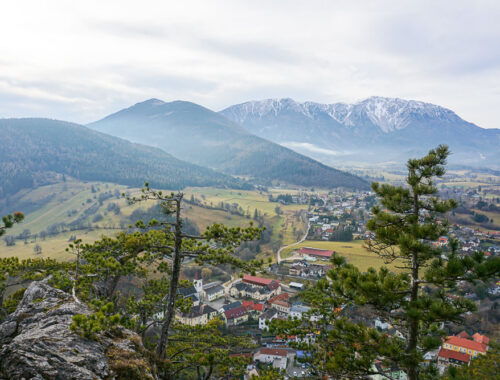 Himberg Wanderung bei Puchberg am Schneeberg