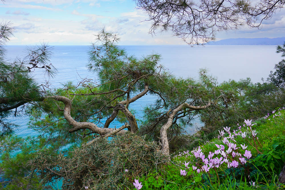 Wanderwege Zypern Aphrodite Trail im Winter