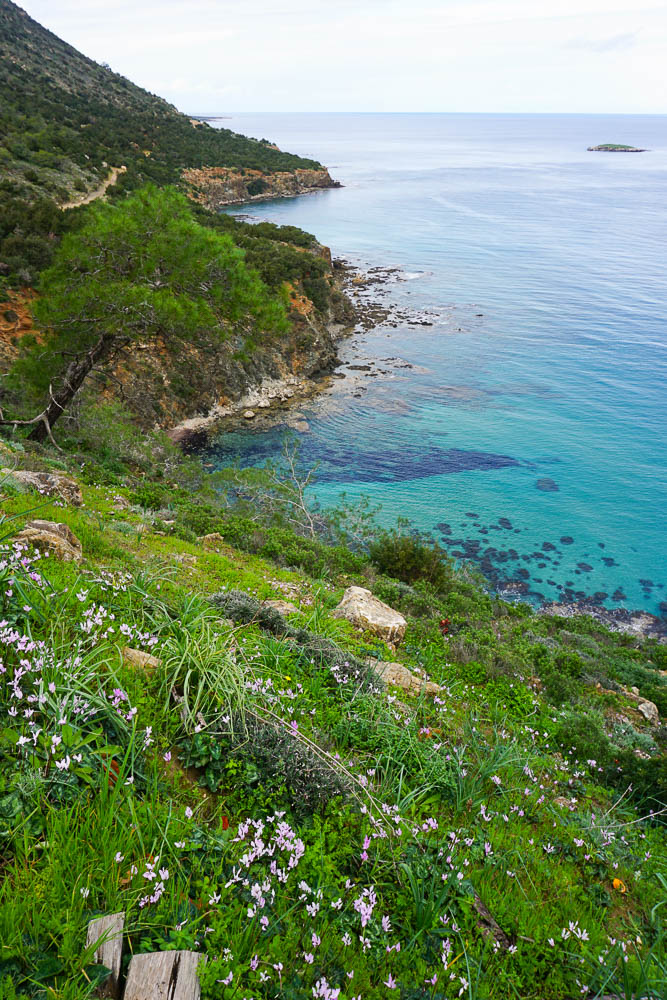 Zypern Wanderwege: Aphrodite Nature Trai Akamas