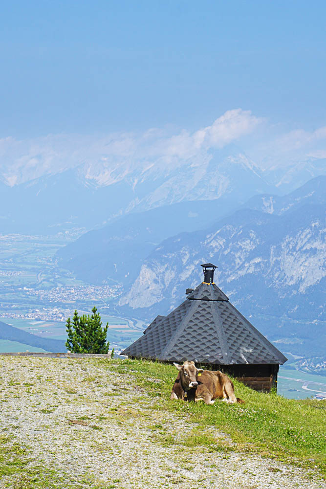 Patscherkofel Zirbenweg Innsbruck