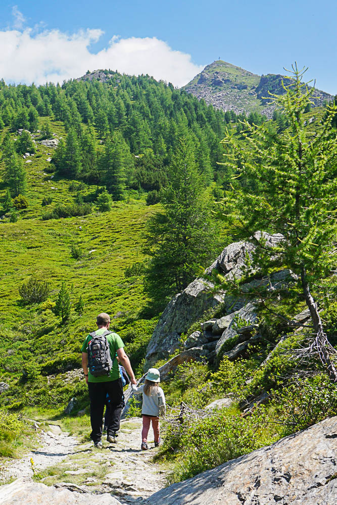 Zirbenweg mit Kleinkind Tirol