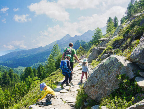 Am Tiroler Zirbenweg mit Kindern wandern