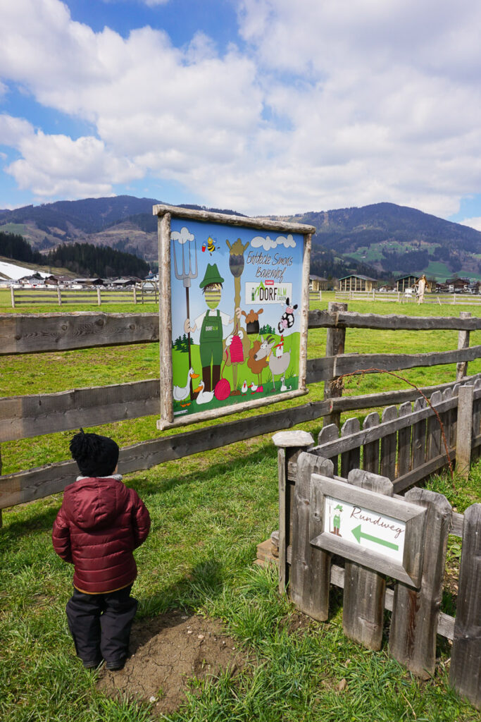 Dorfalm Flachau Bauernhof Rundweg Vorderklinglhub