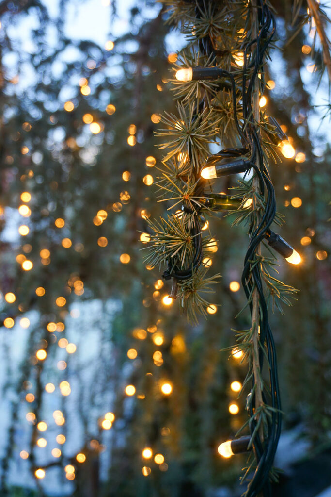 Waldviertel im Winter Advent