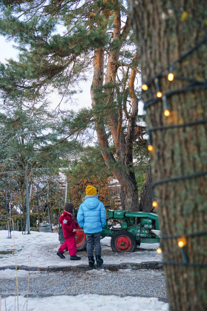 Waldviertel Ausflugsziele mit Kindern im Winter