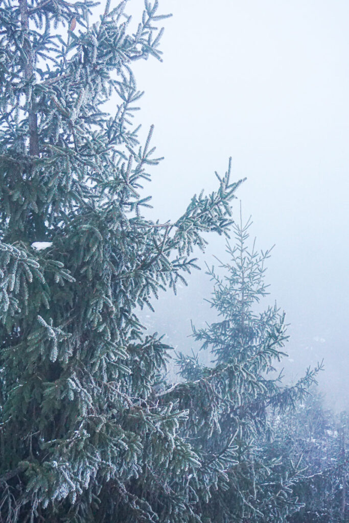 Winter im mystischen Waldviertel