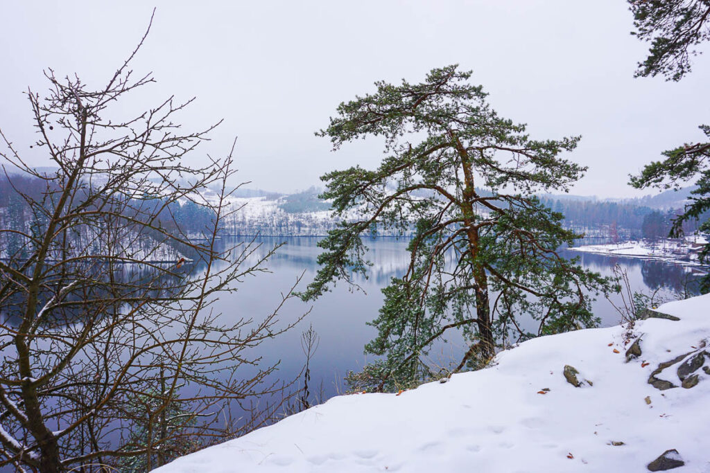 Waldviertel Kampseen: Stausee Dobra im Winter wandern