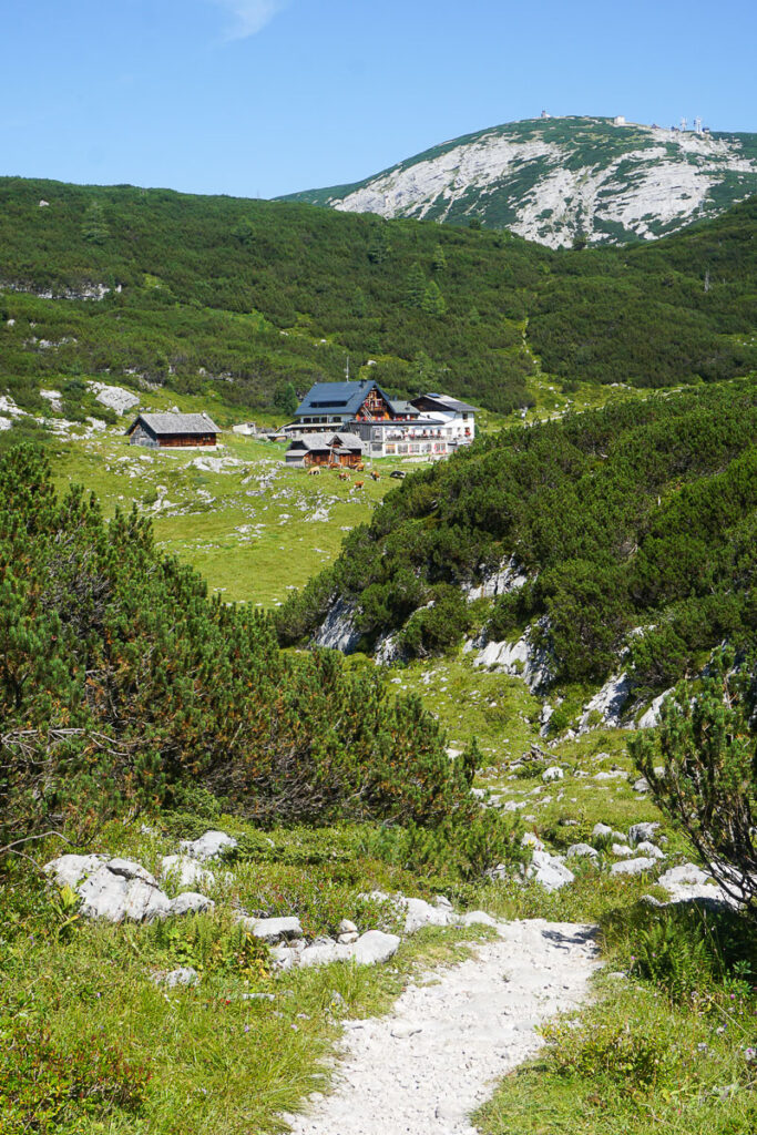 Gjaidalm Dachstein Krippenstein