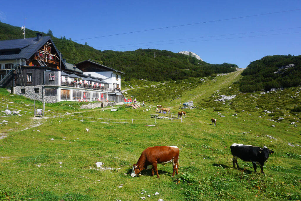 Gjaidalm Dachstein mit Kindern Seilbahn