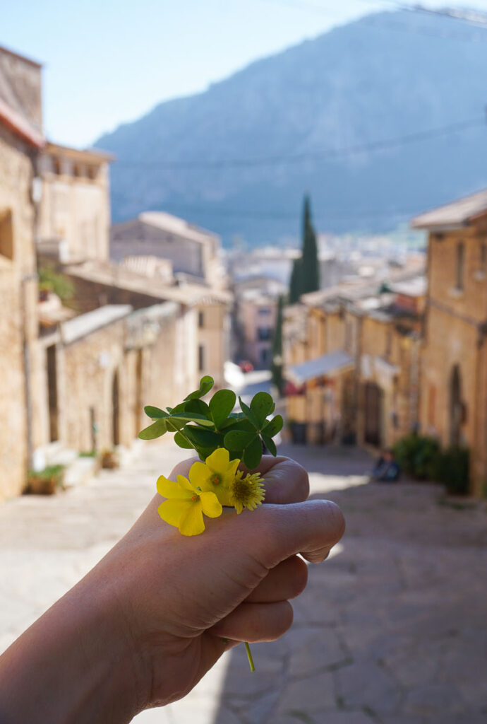 Altstadt von Pollenca