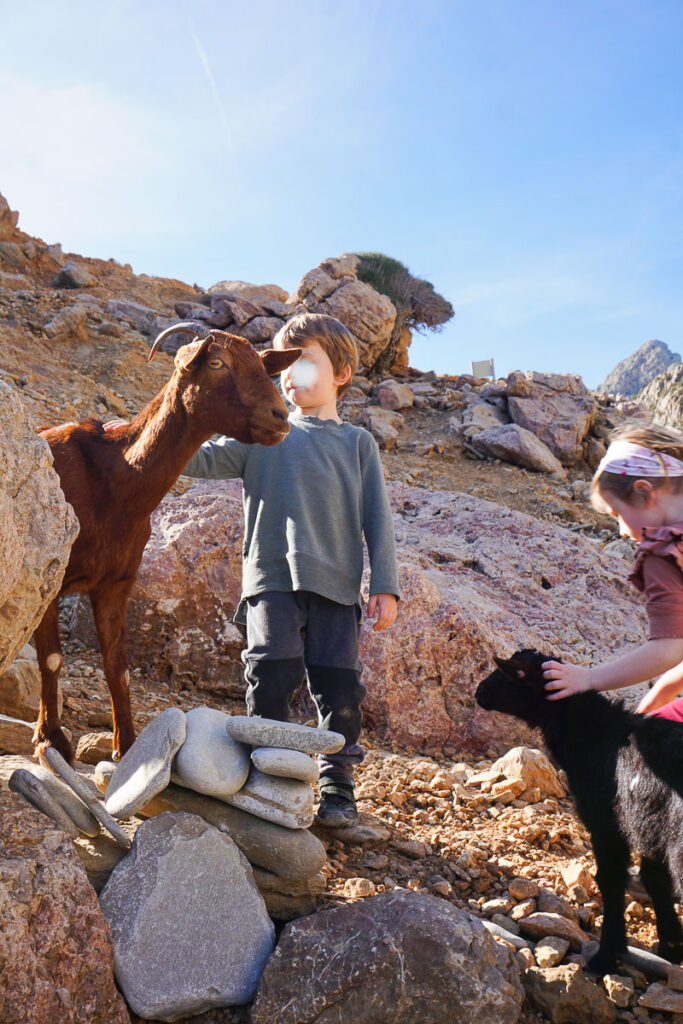 Mallorca wandern mit Kindern: Cala Boquer