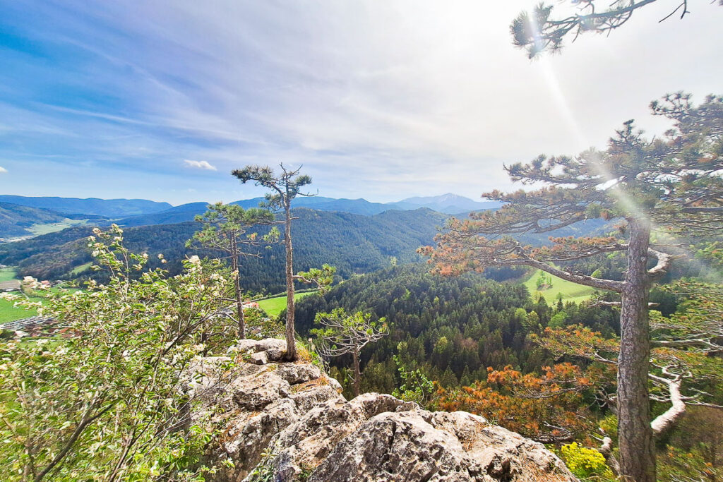 Hausstein Muggendorf Gipfel Aussicht