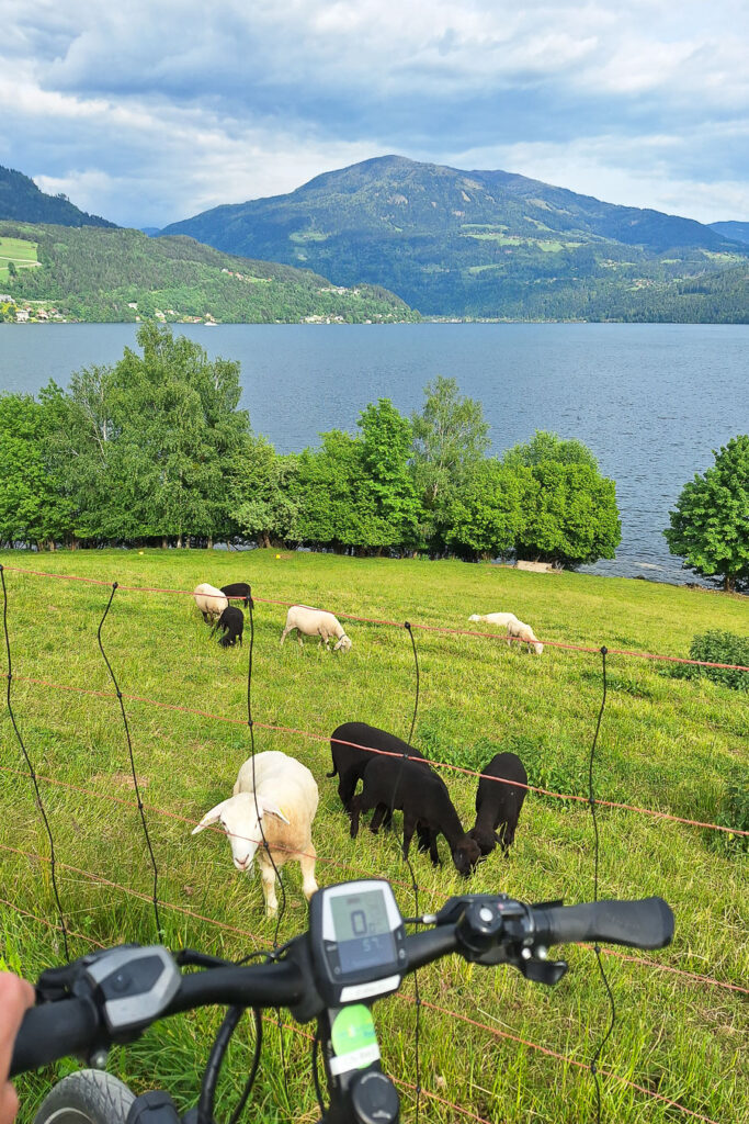 E-Bike Fahrradtour Millstätter See