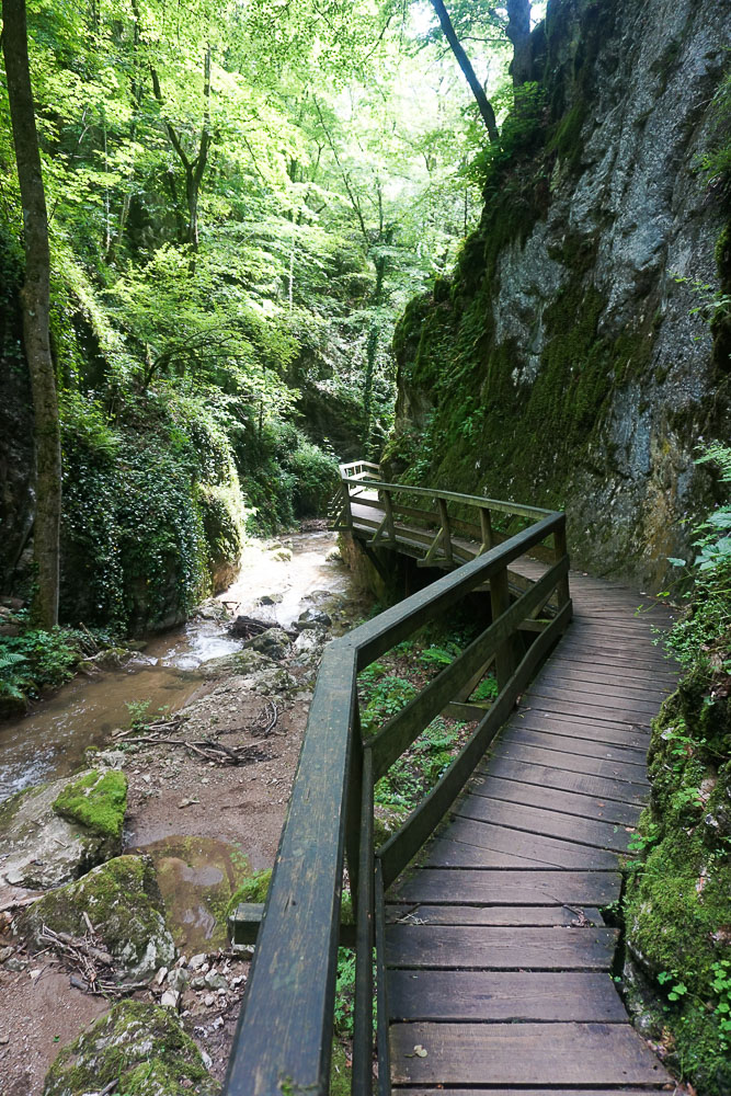 Stege Johannesbachklamm Würflach