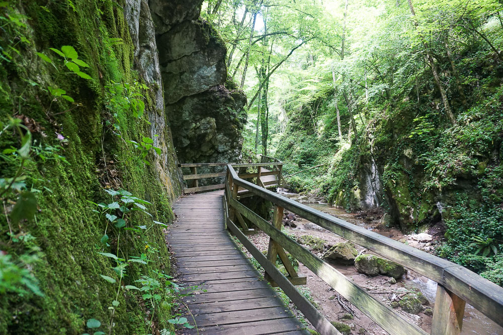Johannesbachklamm Würflach Wiener Alpen
