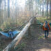 Erlebnispfad Bad Sauerbrunn wandern mit Kindern im Burgenland Rosalia