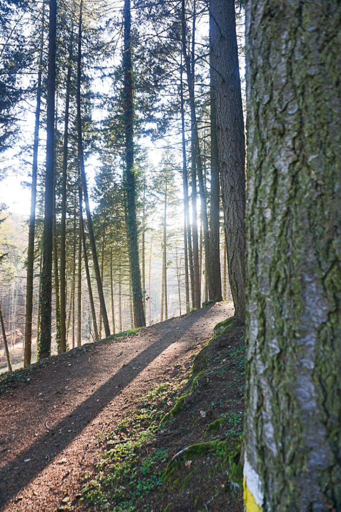 Wandern im Naturpark Rosalia