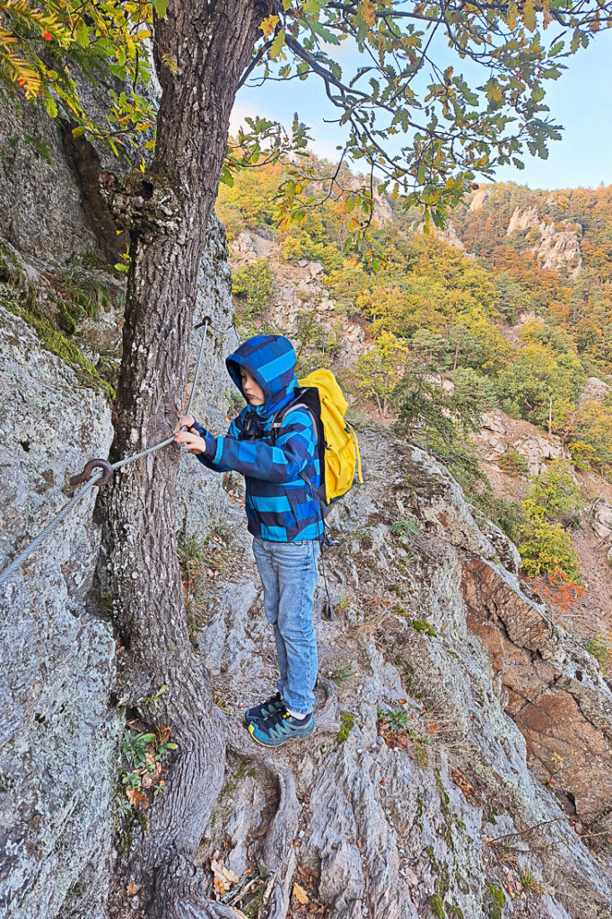 Wachau Vogelbergsteig mit Kindern