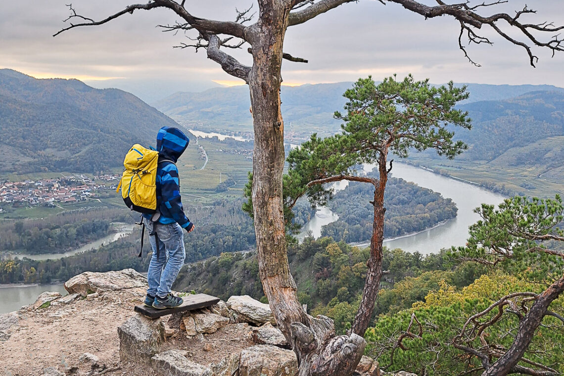 Wachau mit Kindern: Vogelbergsteig mit Kindern