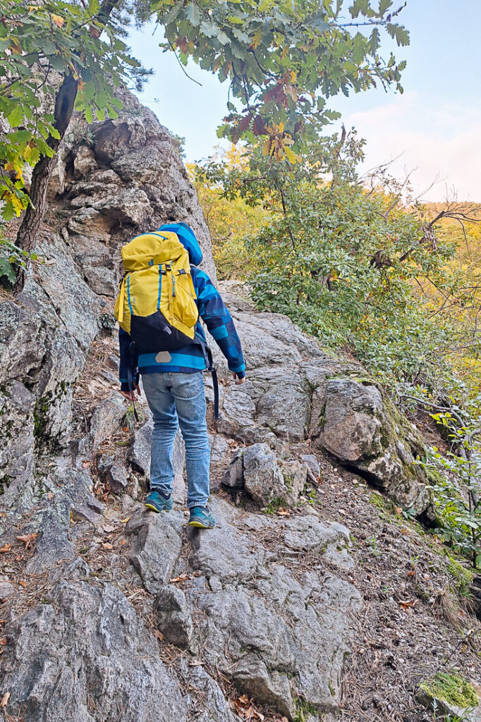 Wachau Vogelbergsteig mit Kindern
