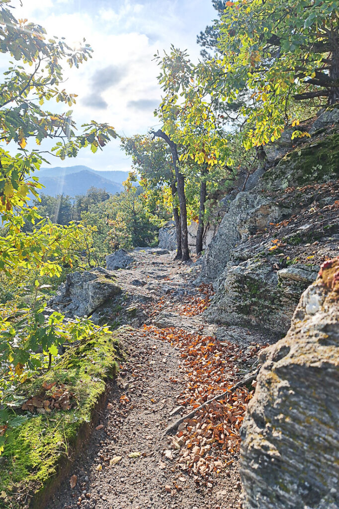 Wachau Vogelbergsteig Herbst
