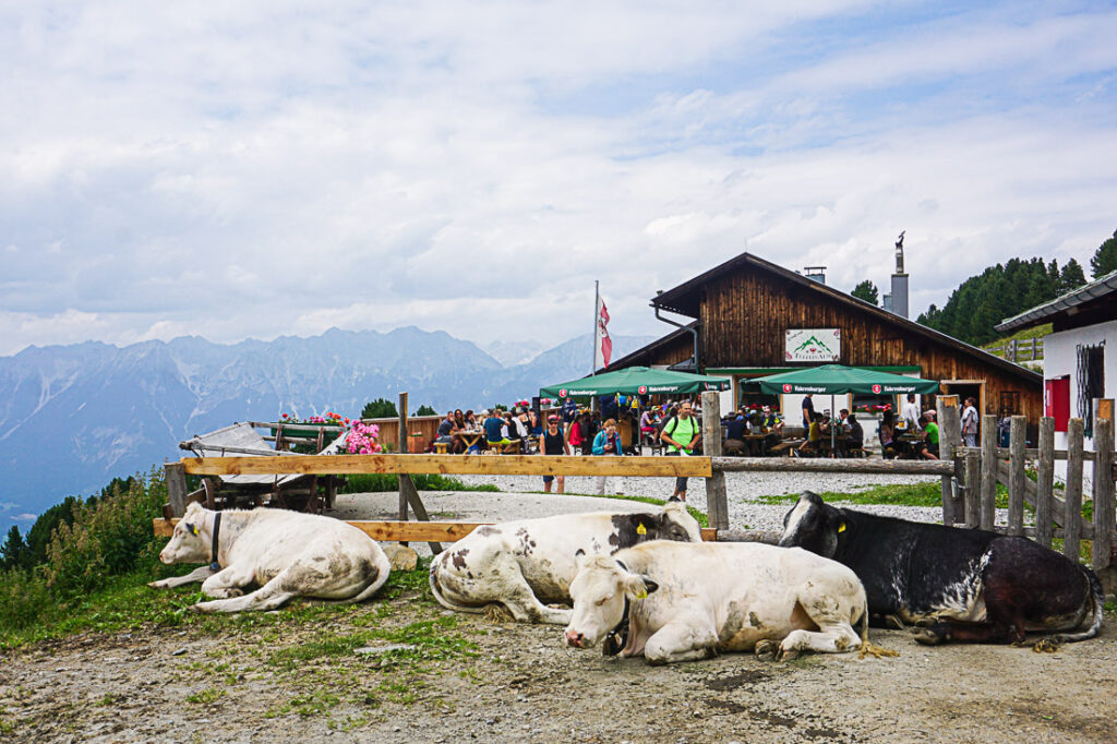 Zirbenweg Tirol: Tulfeinalm am Glungezer