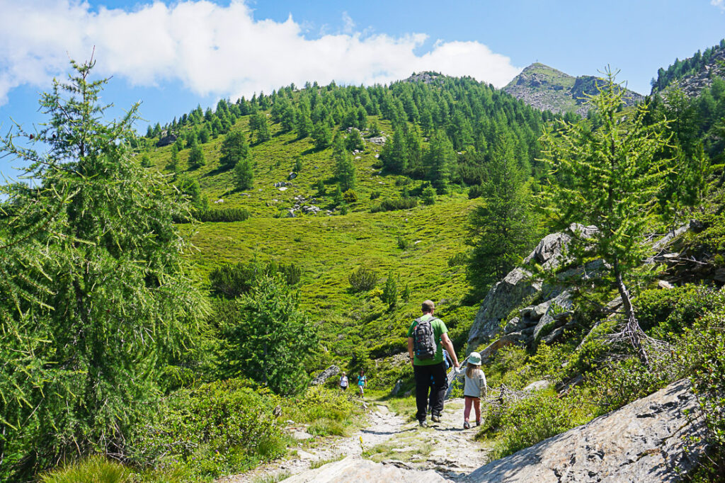 Tiroler Zirbenweg Innsbruck