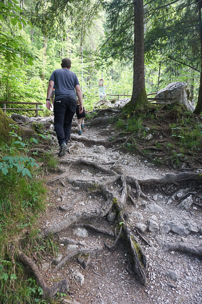 Gollinger Wasserfall Wanderweg