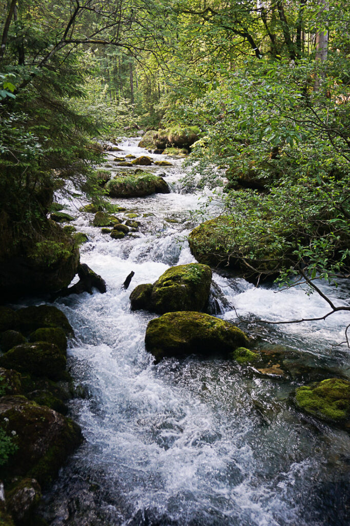 Gollinger Wasserfall Wanderweg