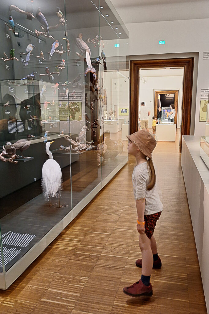 Naturkundemuseum Graz