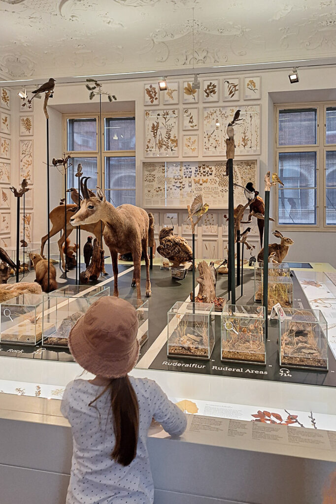 Graz mit Kindern: Naturkundemuseum
