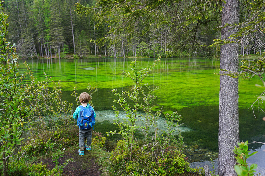 Kreuzteich beiim Grünen See