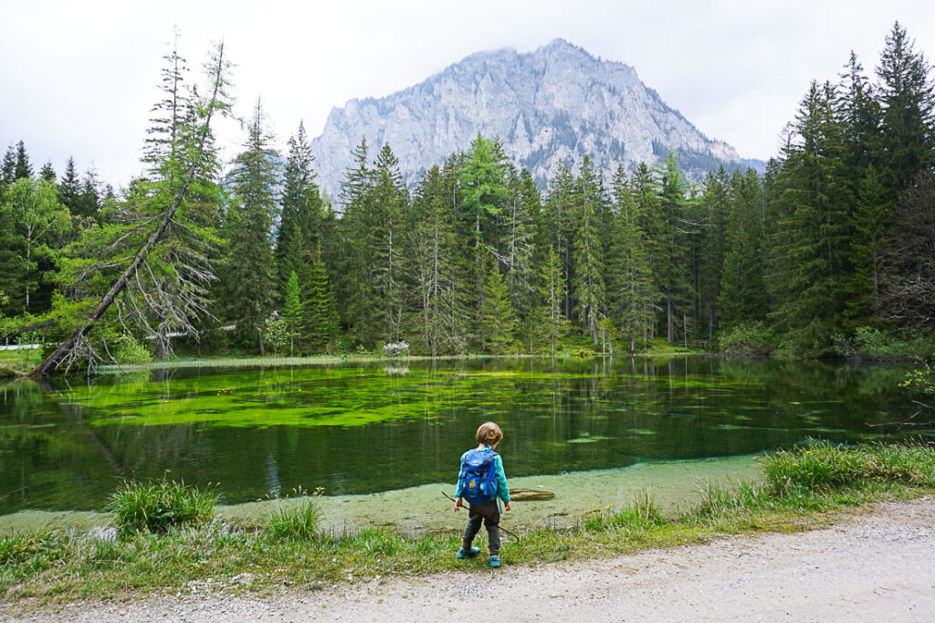 Pfarrerteich Tragöß Grüner See